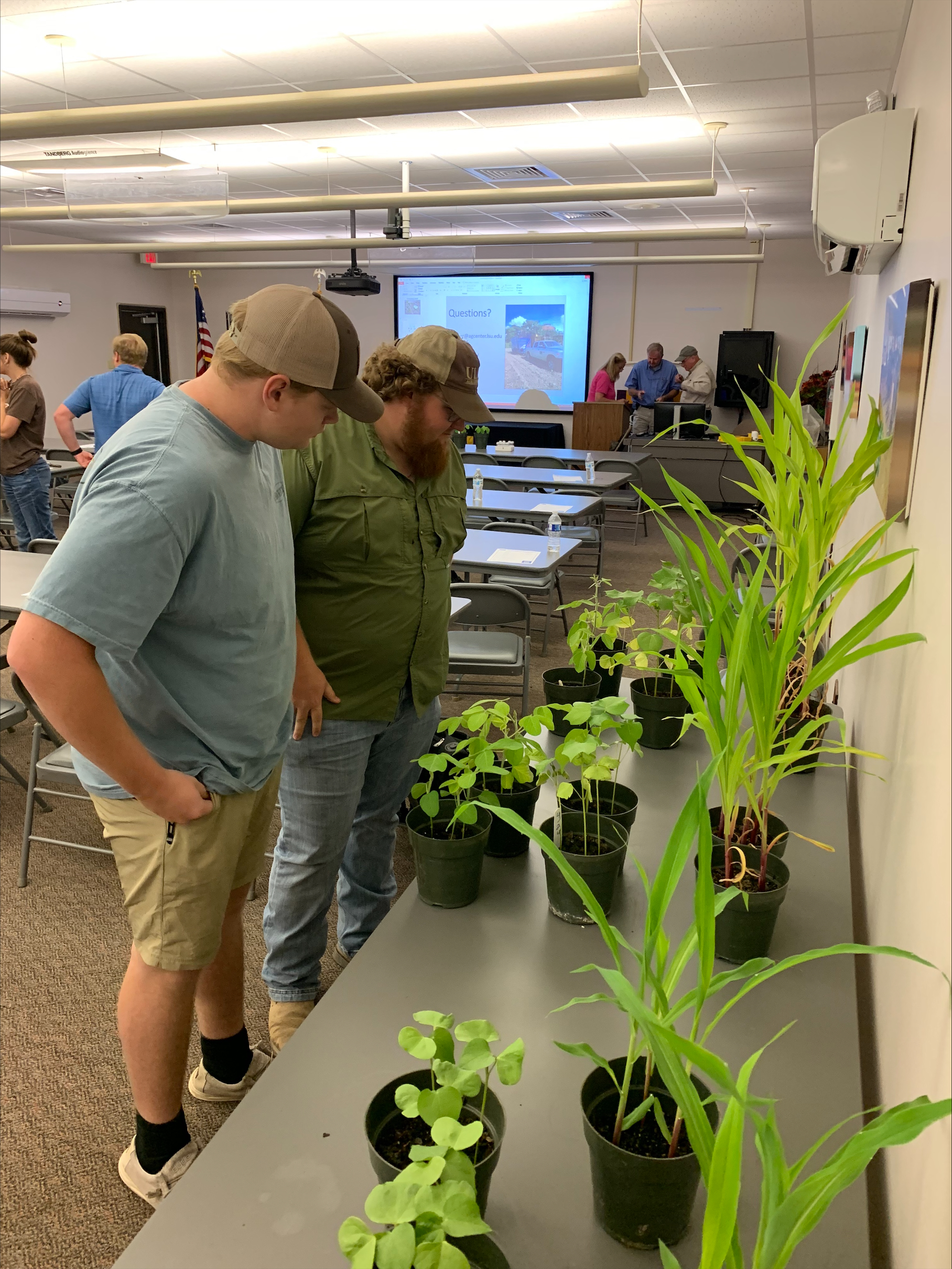LSU AgCenter ‘scout school’ helps battle bugs in crops 
